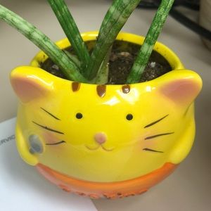 Meet your Posher, Debra